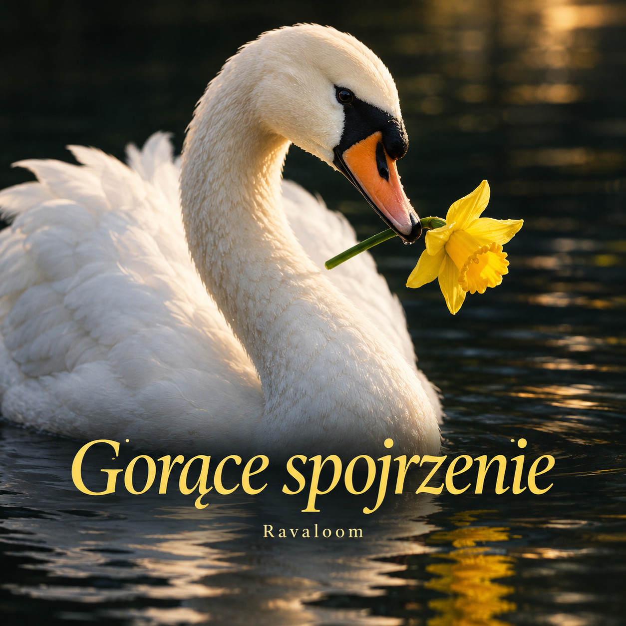 Gorące spojrzenie